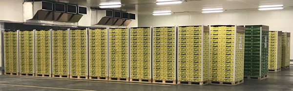Dazi Usa: a rischio l’export agroalimentare Fvg